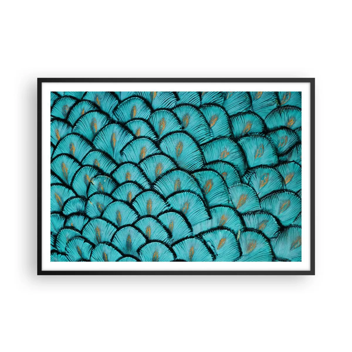 Plagát v čiernom ráme - Veľká slávnosť peria - 100x70 cm