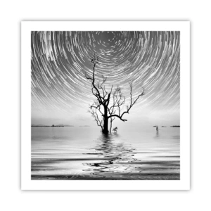 Plagát - Symfónia prírody - 60x60 cm