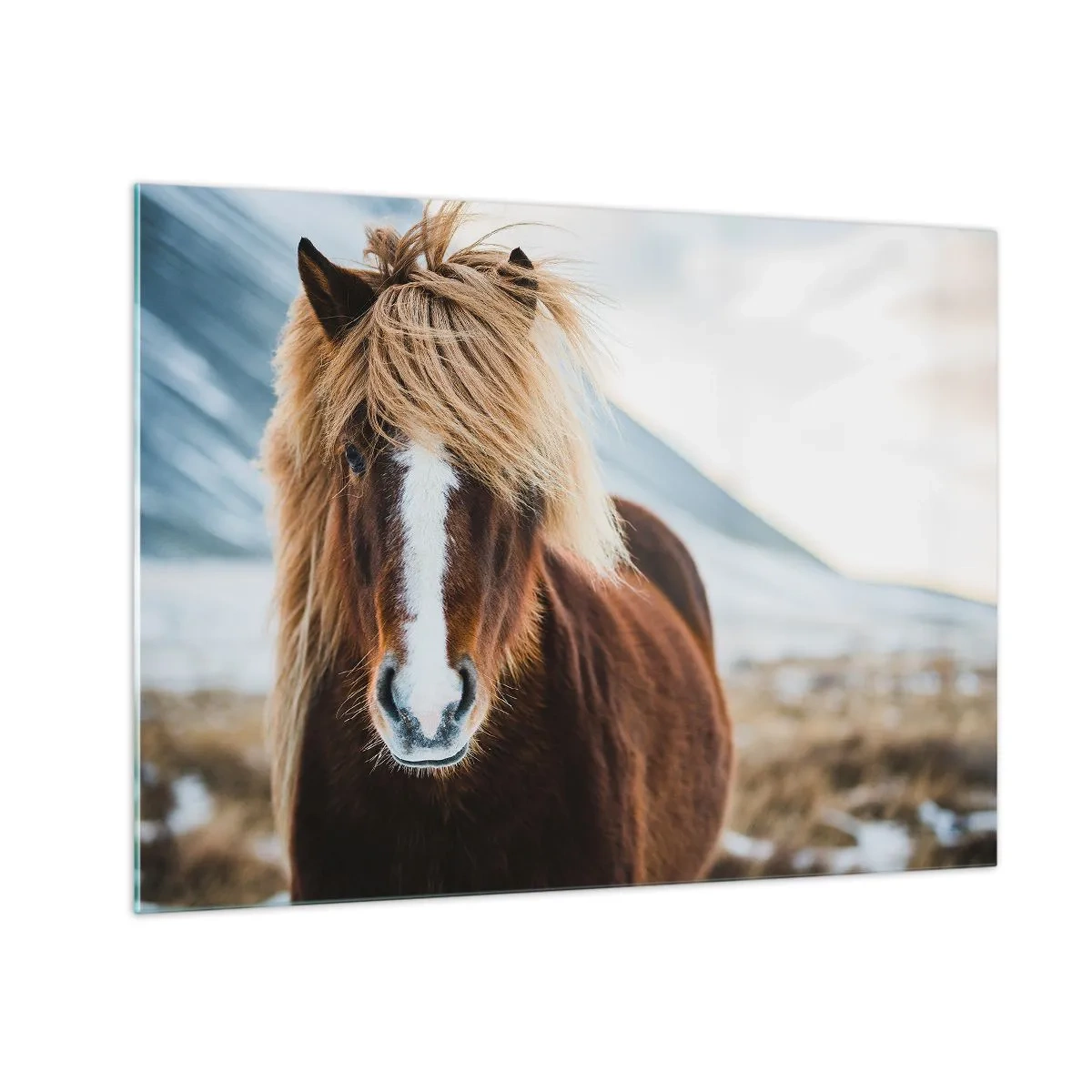 Obraz na skle - Kôň na pozadí horskej krajiny v zime - 70x50cm - Cítiš slobodu? - Moderná nástenná dekorácia do obývacej izby a spálne ARTTOR