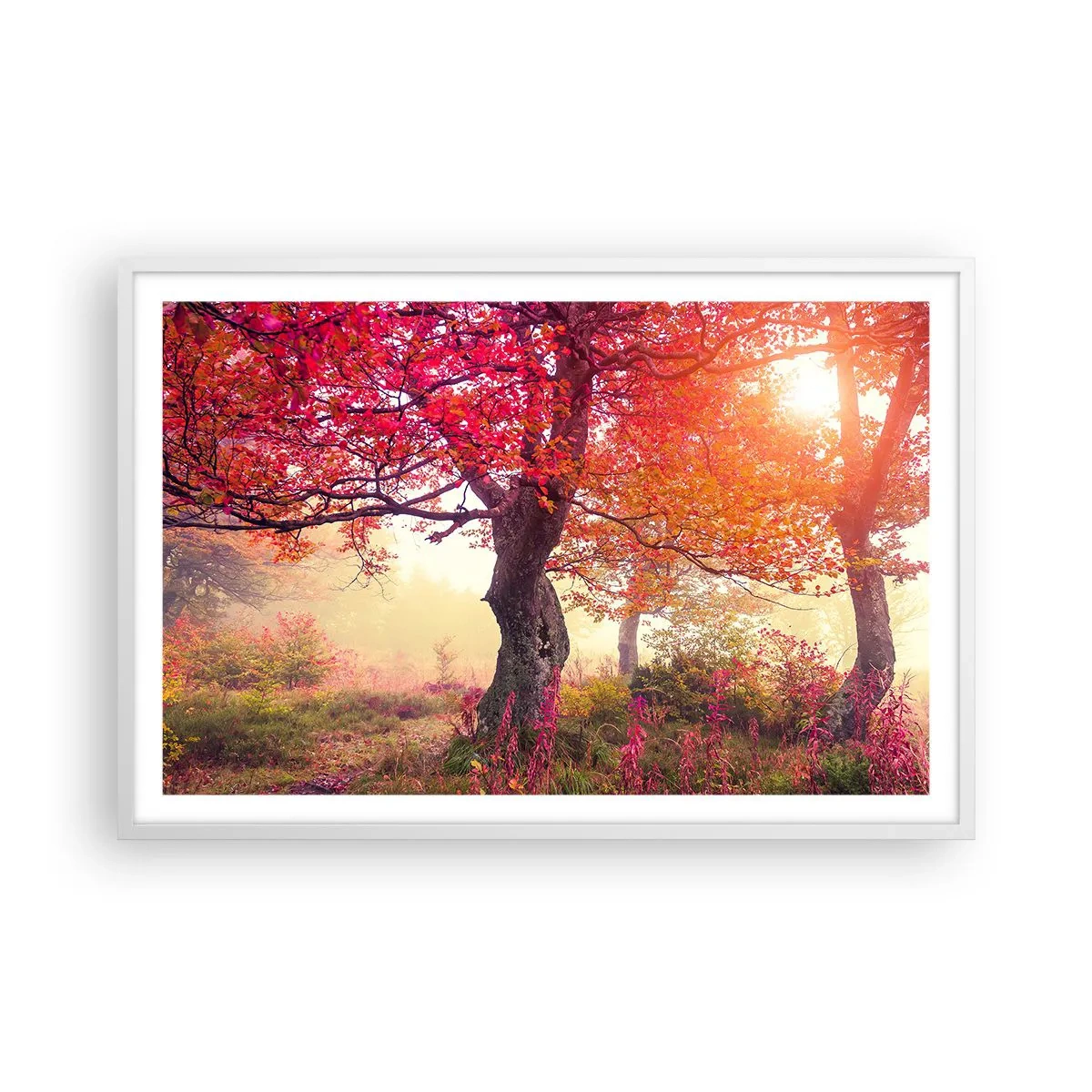 Plagát v bielom ráme - Šialenstvo rozkvetu - 91x61 cm