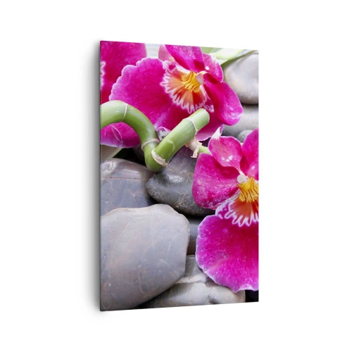 Obraz na plátne - Chlad a žiara - 80x120 cm