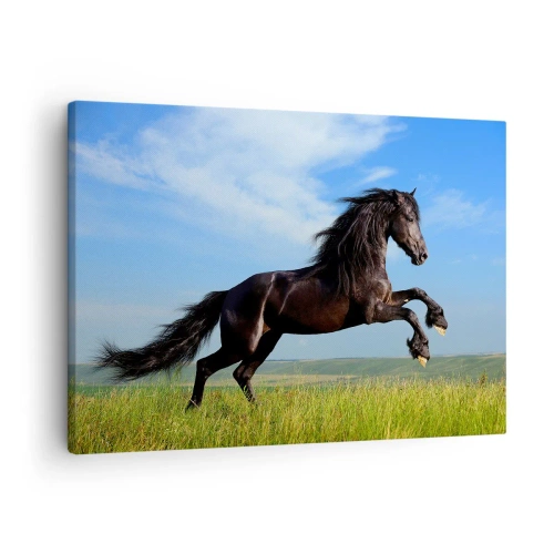 Obraz na plátne - Čierny kôň beží proti modrej oblohe a zelenej lúke - 70x50cm - Strhujúci manifest slobody - Moderná nástenná dekorácia do obývacej izby a spálne ARTTOR