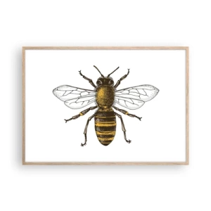 Plagát v ráme zo svetlého duba - Krásna a dobrá - 100x70 cm