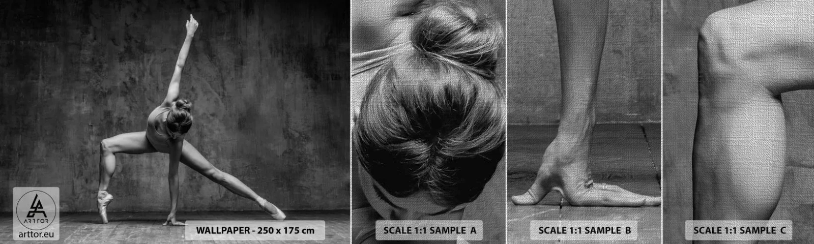Vzorka fototapety Premium Canvas - Ideál rovnováhy - Gymnastika, balet, Tancujte - 100x30 cm