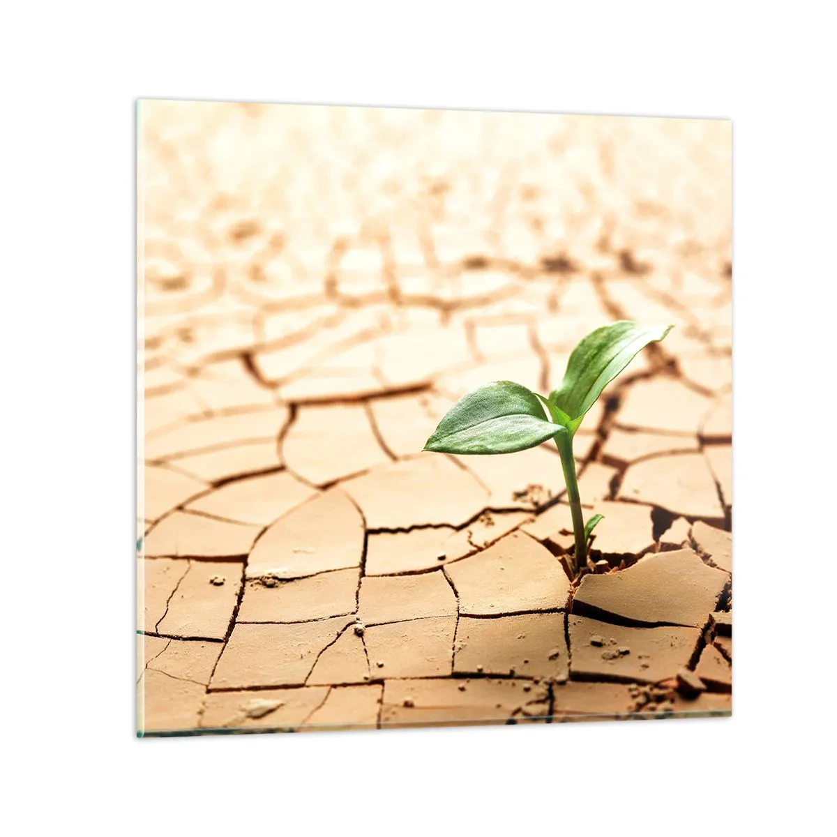 Obraz na skle - Nespútaná sila života - 70x70 cm