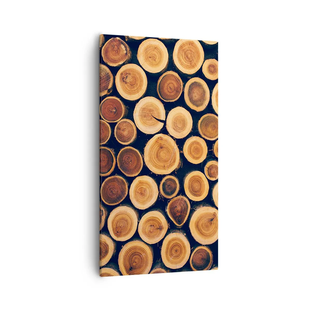 Obraz na plátne - Na koľko vyzerám? - 55x100 cm