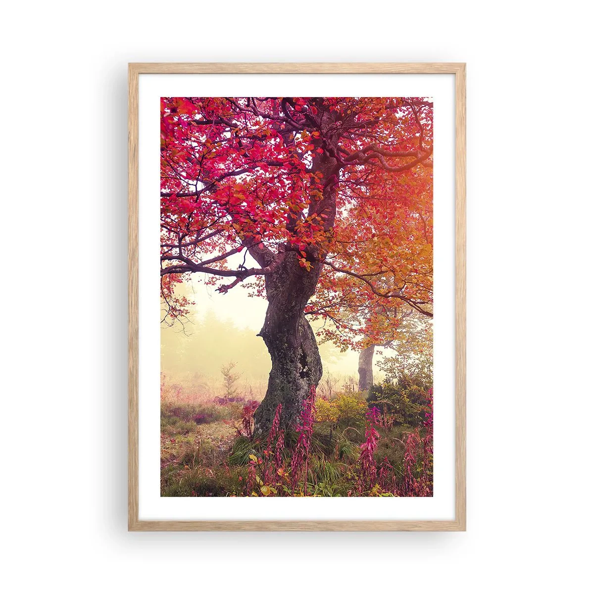 Plagát v ráme zo svetlého duba - Šialenstvo rozkvetu - 50x70 cm