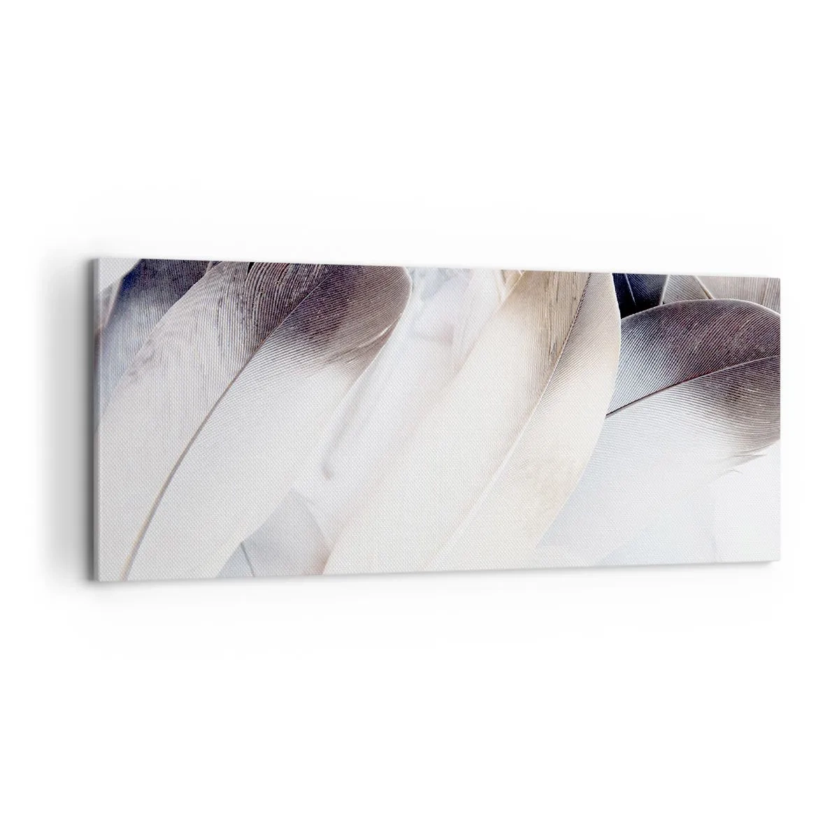 Obraz na plátne - Takmer anjelské - 100x40 cm