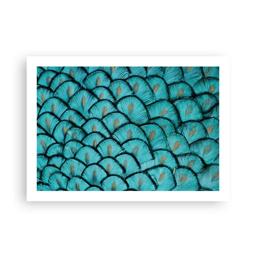 Plagát - Veľká slávnosť peria - 70x50 cm
