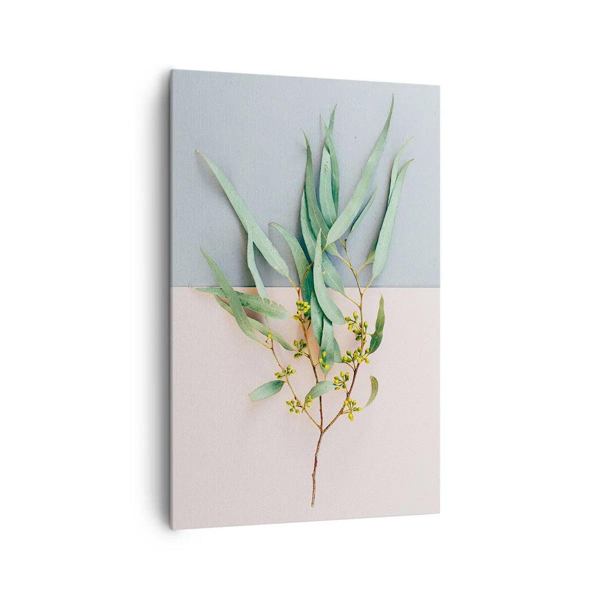 Obraz na plátne - Pastelová jemnosť - 80x120 cm