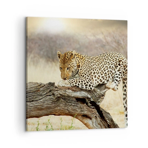 Obraz na plátne - Chodím vlastnými cestami - 60x60 cm