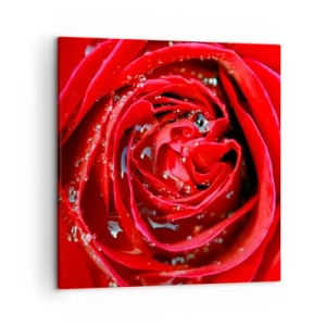 Obraz na plátne - V kvapkách rosy - 50x50 cm