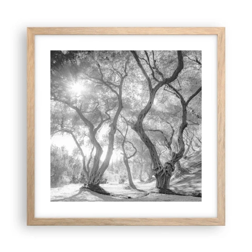 Plagát v ráme zo svetlého duba - V olivovom háji - 40x40 cm