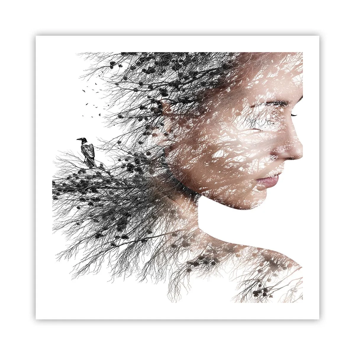 Plagát - Duch lesa - 60x60 cm