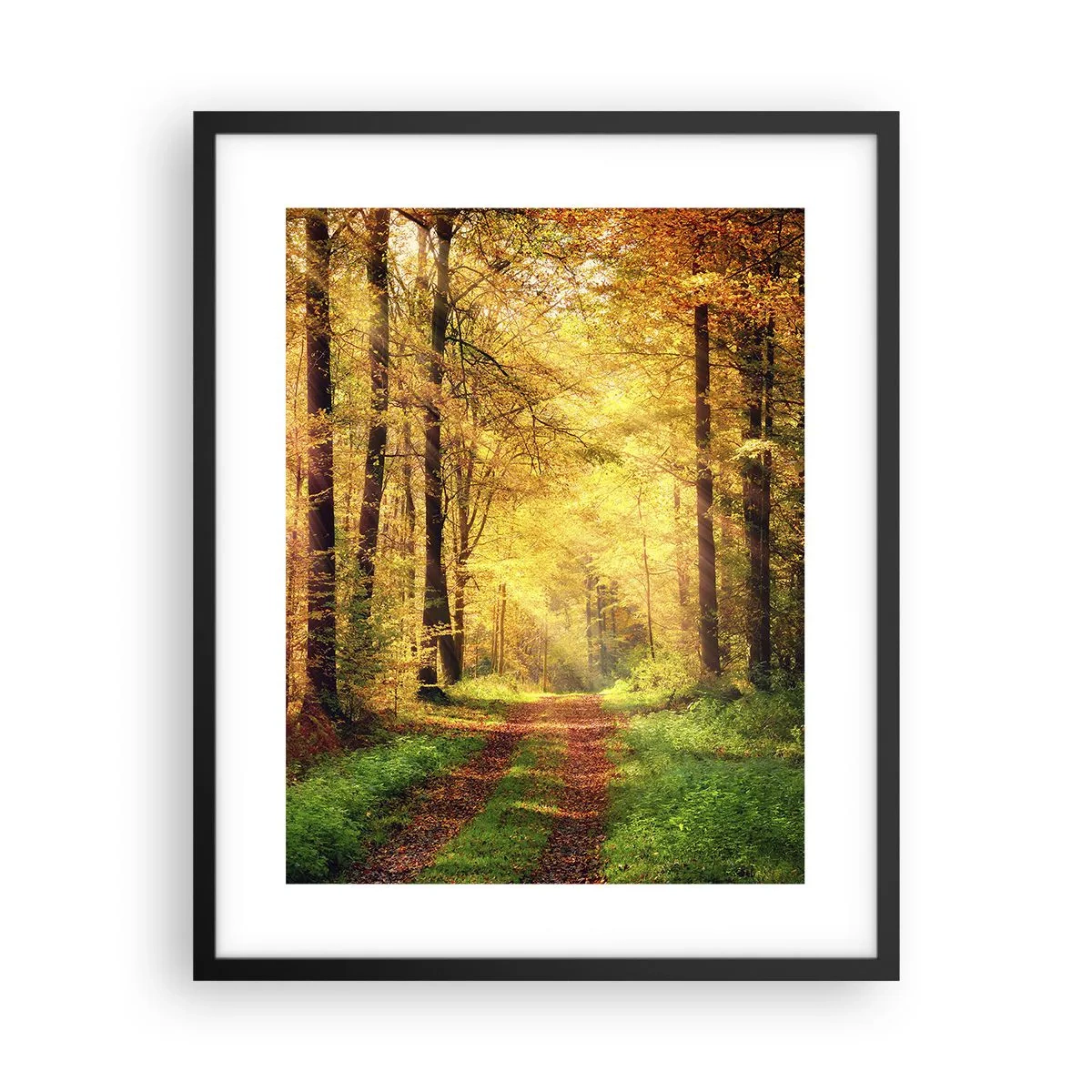 Plagát v čiernom ráme - Lesno-zlaté ticho - 40x50 cm