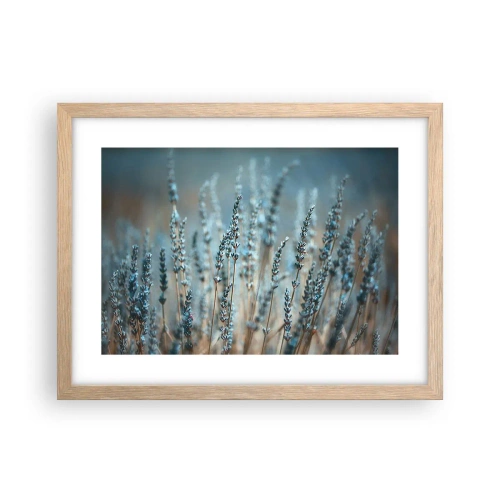 Plagát v ráme zo svetlého duba - Voňavý lán - 40x30 cm