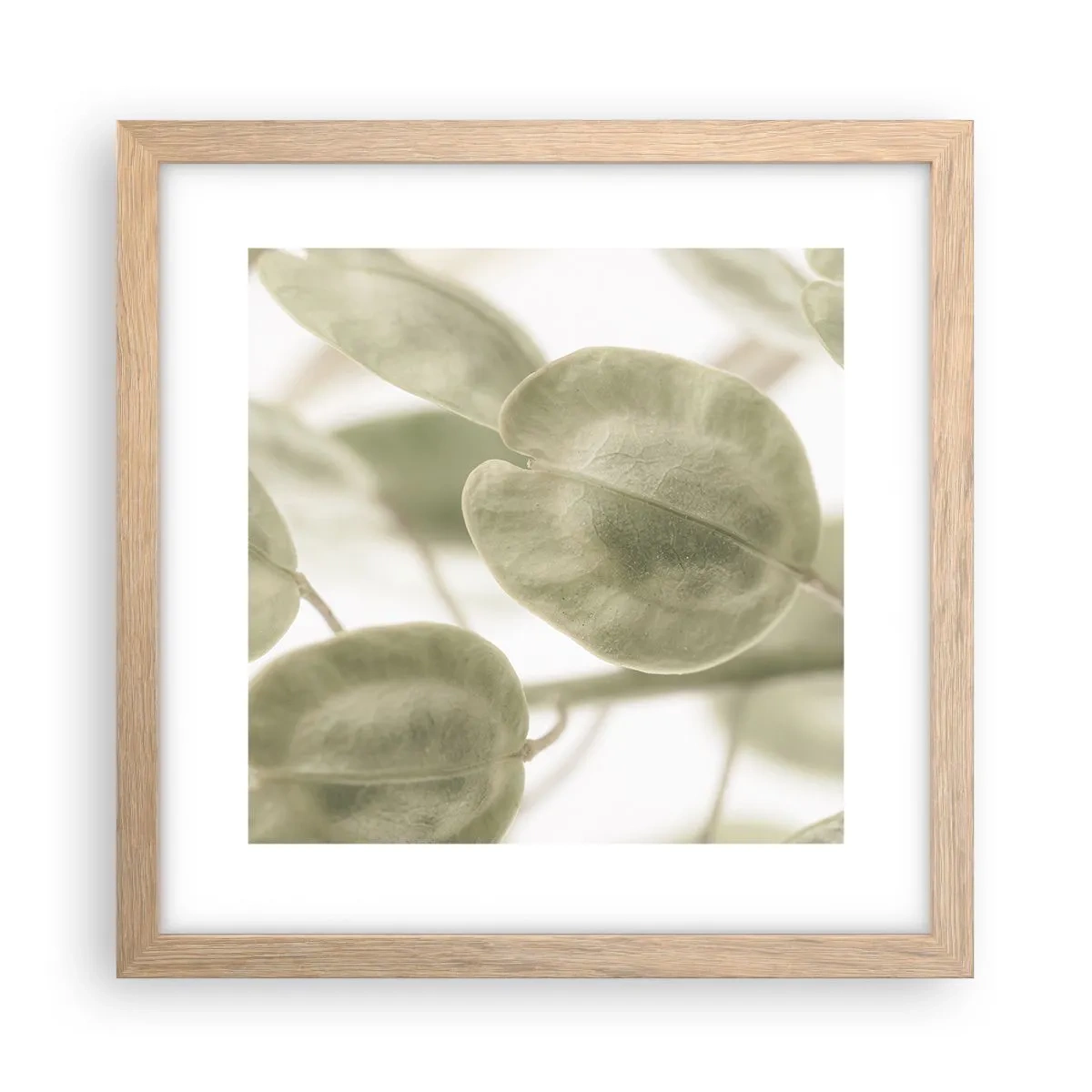 Plagát v ráme zo svetlého duba - Na začiatku bolo lístie… - 30x30 cm