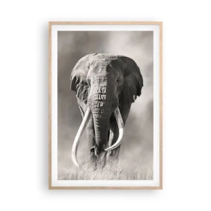 Plagát v ráme zo svetlého duba - Africký patriarcha - 61x91 cm