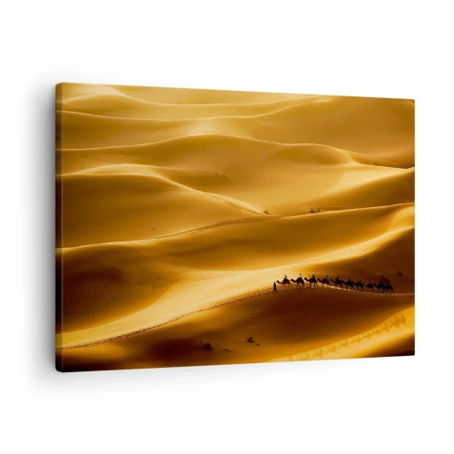 Obraz na plátne - Karavána tiav putujúca zlatými dunami púšte. - 70x50cm - Karavána na vlnách púšte - Moderná nástenná dekorácia do obývacej izby a spálne ARTTOR