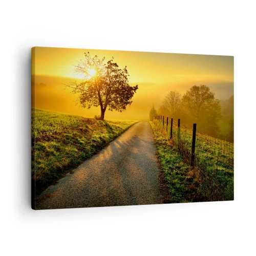 Obraz na plátne - Malebná cesta pri západe slnka s osamelým stromom v pozadí - 70x50cm - Medové popoludnie - Moderná nástenná dekorácia do obývacej izby a spálne ARTTOR