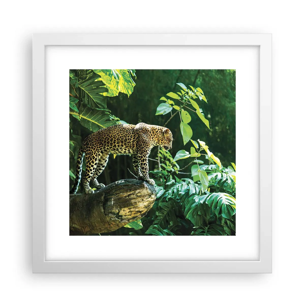 Plagát v bielom ráme - Na lov? - 30x30 cm