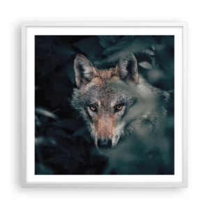 Plagát v bielom ráme - Predátor - 60x60 cm