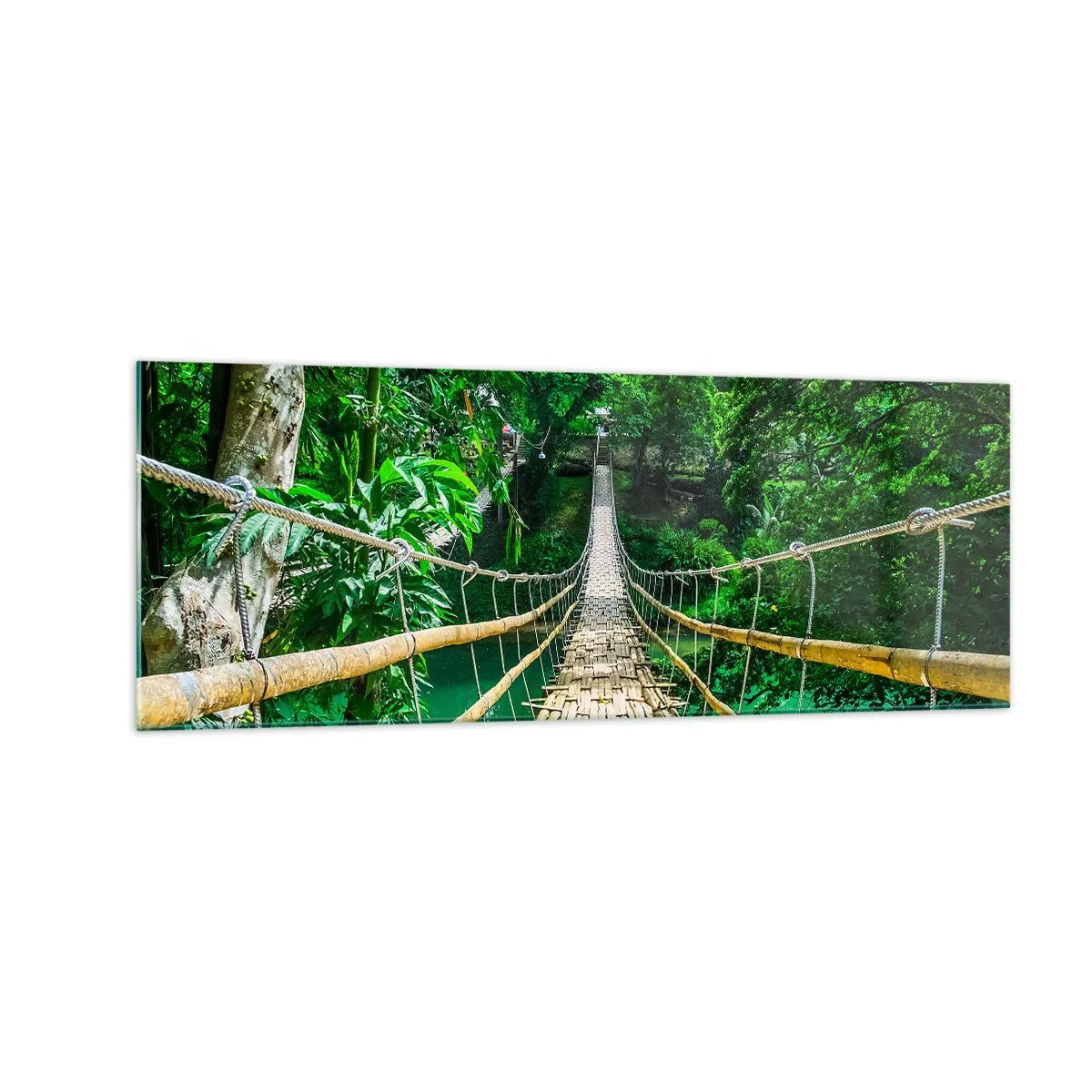 Obraz na skle - Opičí most nad zeleňou - 140x50 cm