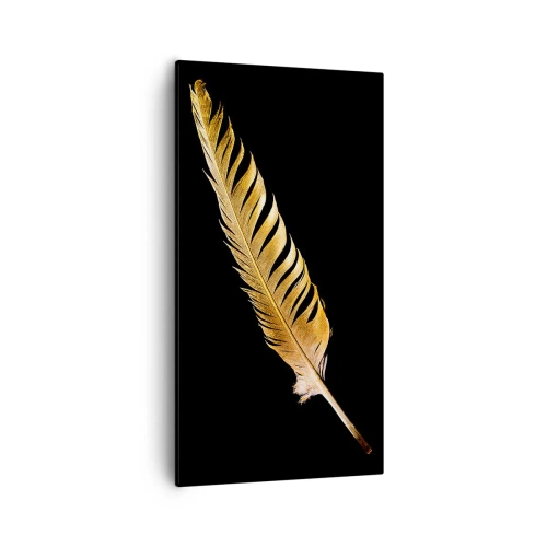 Obraz na plátne - Krásne pierko… - 55x100 cm