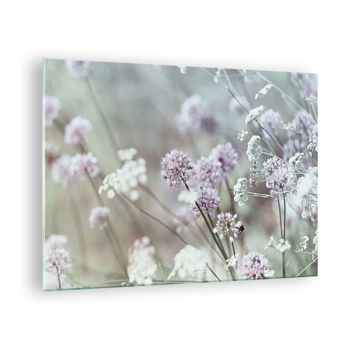Obraz na skle - Jemné divoké kvety v pastelových odtieňoch - 70x50cm - Sladké filigrány byliniek - Moderná nástenná dekorácia do obývacej izby a spálne ARTTOR
