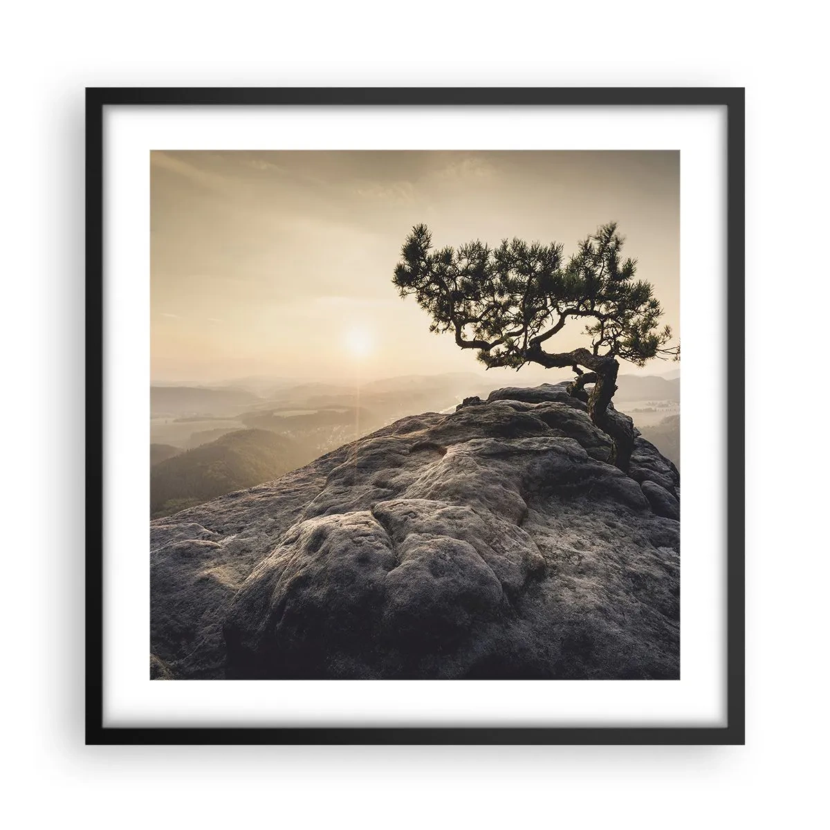 Plagát v čiernom ráme - Život vždy víťazí - 50x50 cm