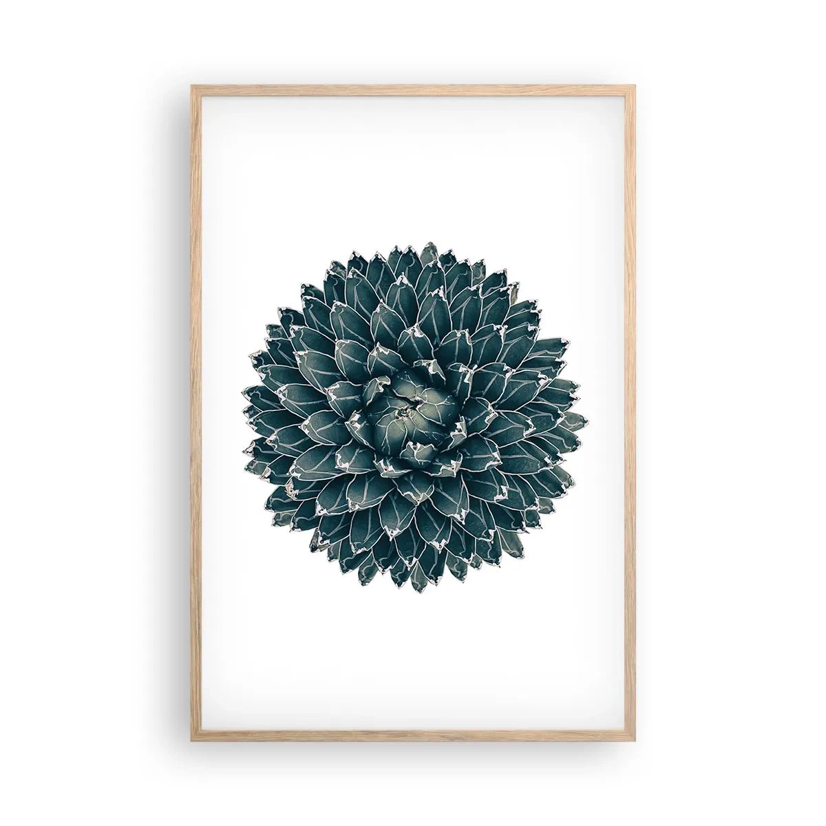 Plagát v ráme zo svetlého duba - Hviezda púšte - 61x91 cm