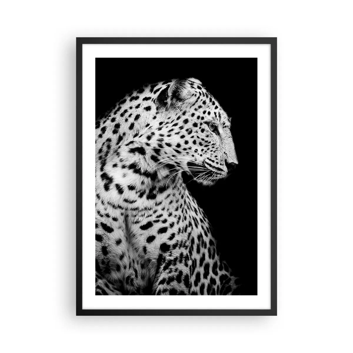 Plagát v čiernom ráme - Čiernobiely portrét leoparda na čiernom pozadí - 50x70cm - Pravý profil perfektný! - Moderná nástenná dekorácia do obývacej izby a spálne ARTTOR