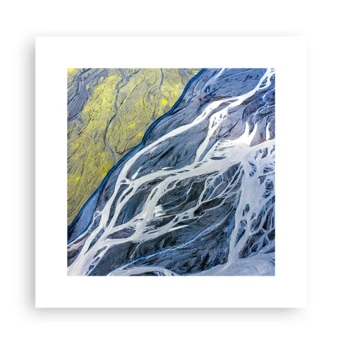 Plagát - Jaskynné maľby prírody - 30x30 cm