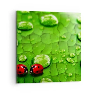 Obraz na plátne - Stretnutie v zeleni - 50x50 cm