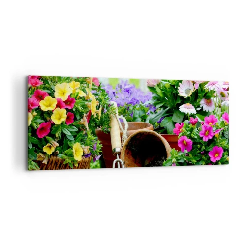 Obraz na plátne - Záhradka Žofky - 120x50 cm