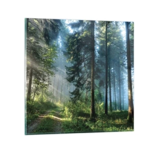 Obraz na skle - Žiariaci za úsvitu - 60x60 cm