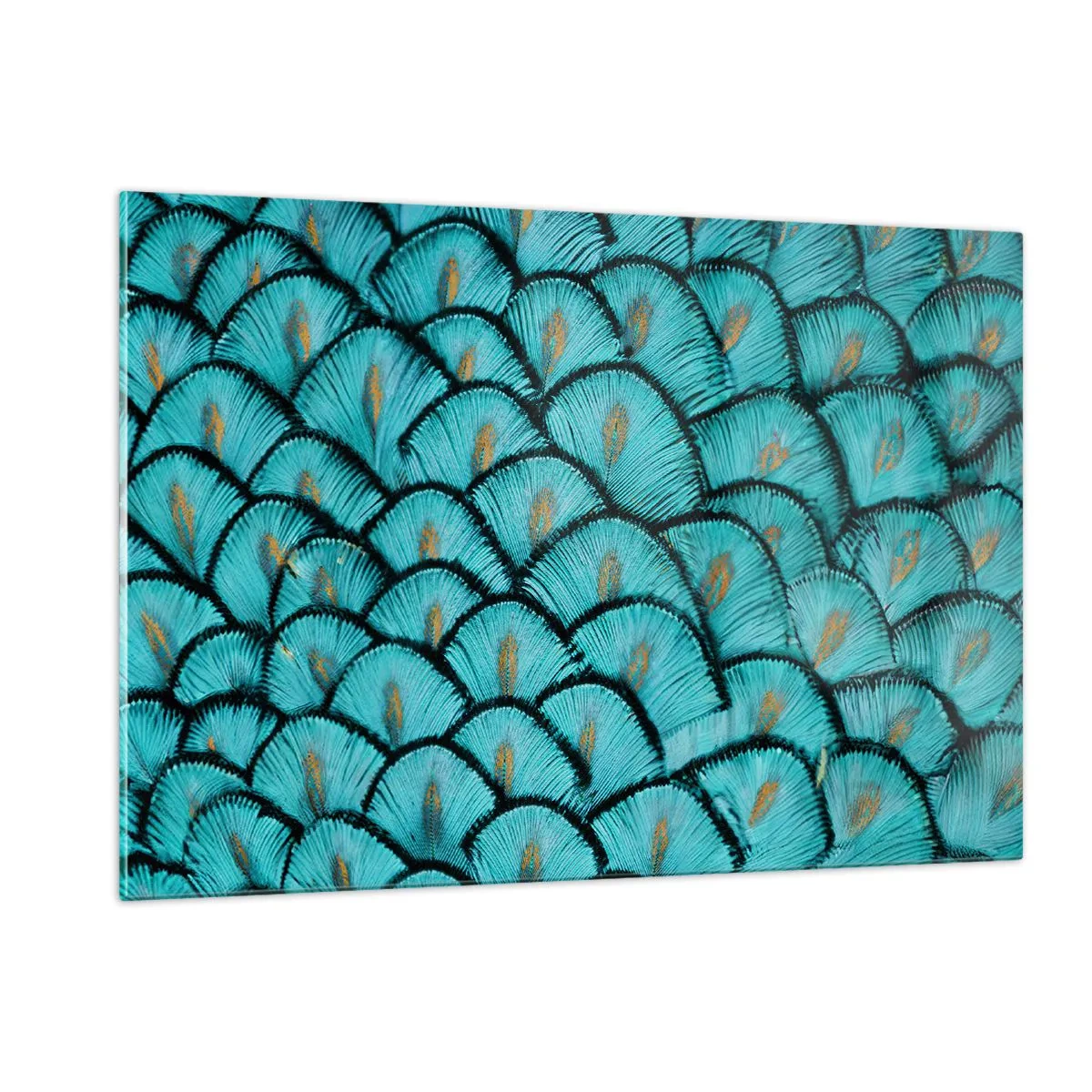 Obraz na skle - Veľká slávnosť peria - 120x80 cm