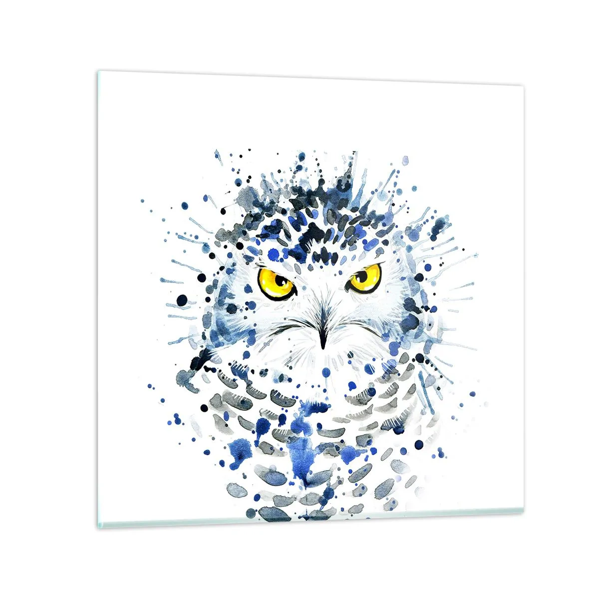 Obraz na skle - Priamo do očí - 50x50 cm