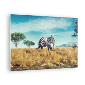 Obraz na skle - Slon so zebrími pruhmi na savane pod oblohou - 70x50cm - Šedá už nie je v móde - Moderná nástenná dekorácia do obývacej izby a spálne ARTTOR