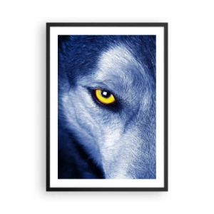 Plagát v čiernom ráme - Detailný záber na žlté vlčie oko v modrom tóne - 50x70cm - Fascinujúci pohľad - Moderná nástenná dekorácia do obývacej izby a spálne ARTTOR