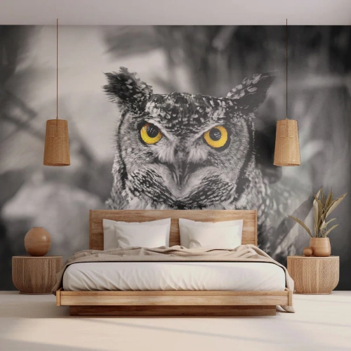 Fototapeta Premium Sand - Nič sa neschová - Vtáky, Sova, Príroda - 100x70 cm