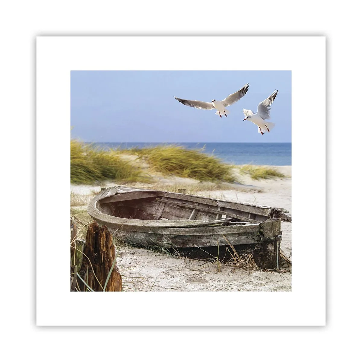 Plagát - Vetrom ožiarené - 30x30 cm