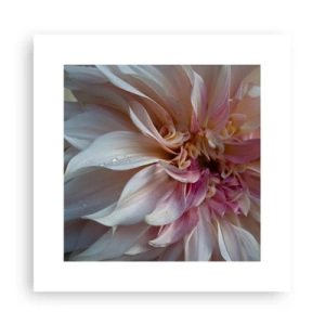 Plagát - Kvitnúca sviežosť - 30x30 cm