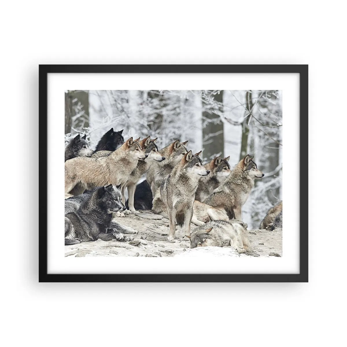 Plagát v čiernom ráme - Rodina a priatelia - 50x40 cm