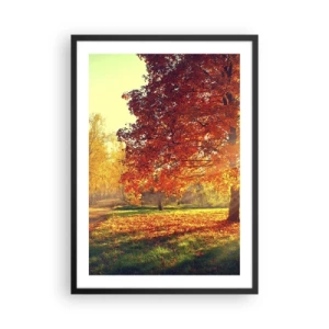 Plagát v čiernom ráme - Jesenný park so stromom so zlatými listami na slnku - 50x70cm - Červené je krásne - Moderná nástenná dekorácia do obývacej izby a spálne ARTTOR