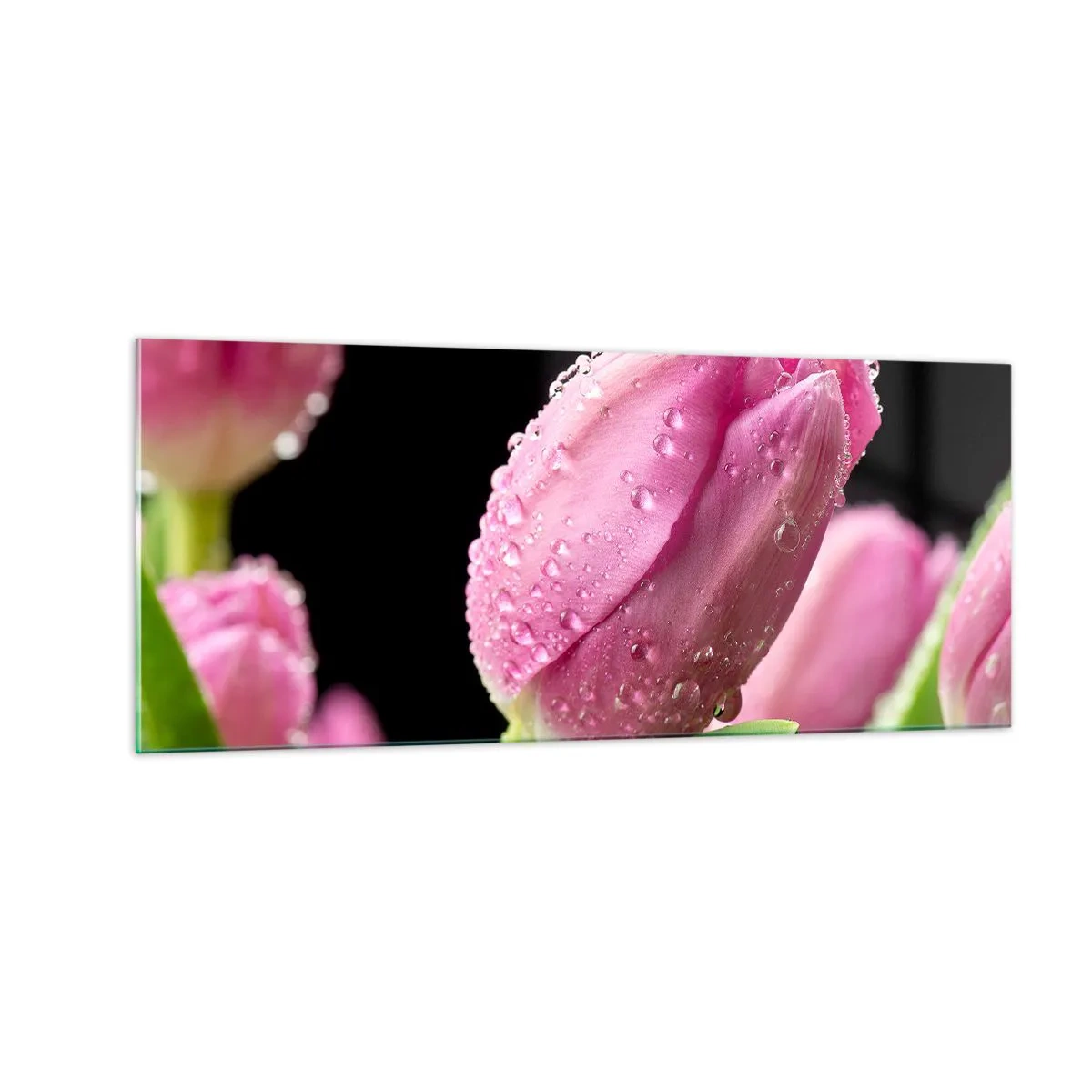 Obraz na skle - Ľaliový sen v rose - 100x40 cm