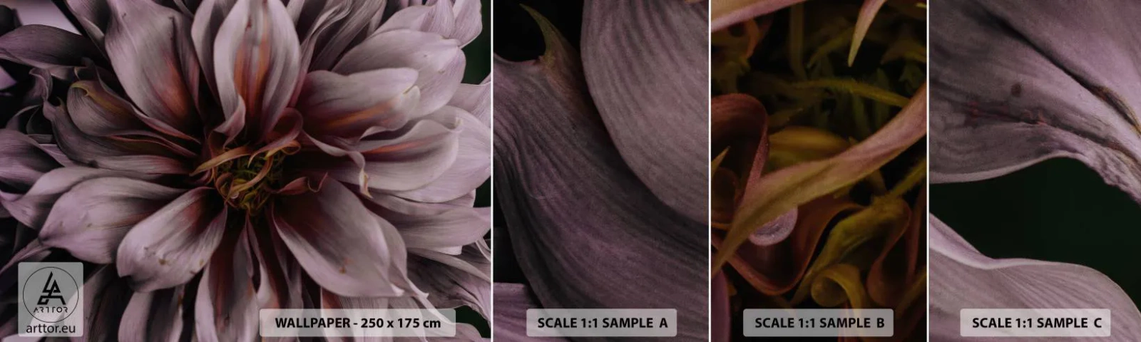 Vzorka Fototapeta Standard Eco - Kvetinové srdce - Kytica kvetov, Dahlia, Kvetina - 100x30 cm