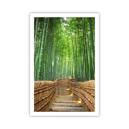 Plagát - Esencia ázijskej prírody - 61x91 cm