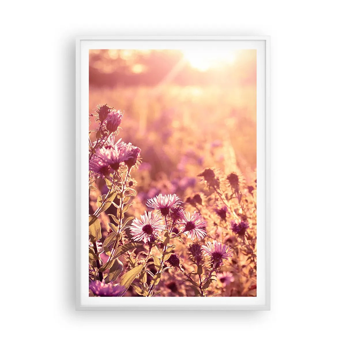 Plagát v bielom ráme - Než skončí leto - 70x100 cm