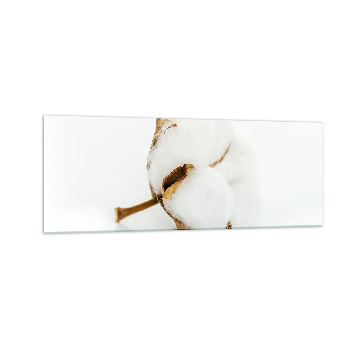 Obraz na skle - Mäkká od prírody - 140x50 cm